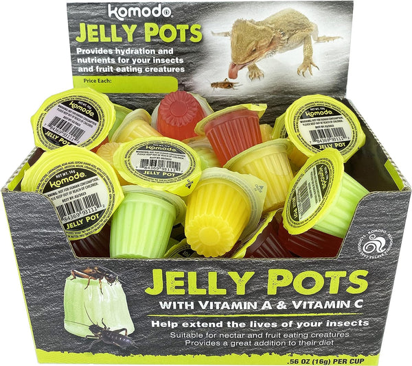 Komodo Jelly Pots