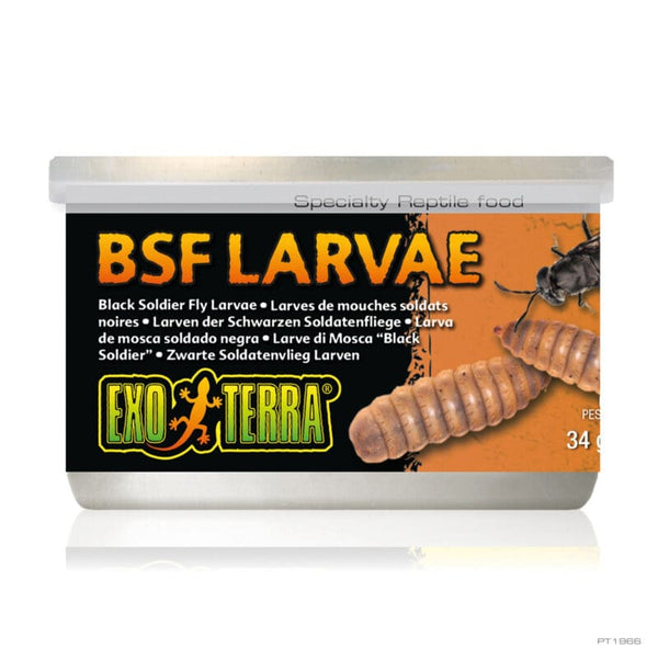 BSF LARVAE 1.2 OZ – 34G