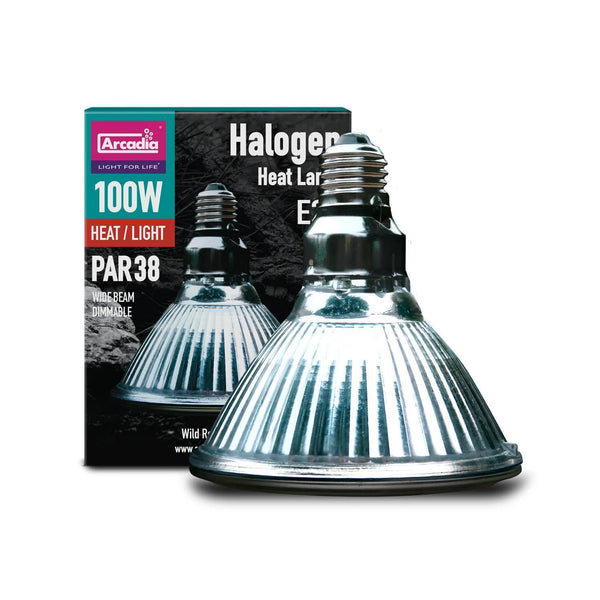 Arcadia 100w Halogen