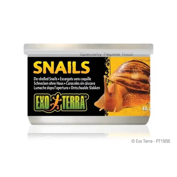 Exo Terra Snails Unshelled 1.7 oz