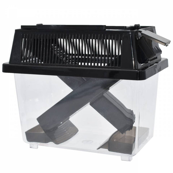 Komodo Cricket Keeper Box Large