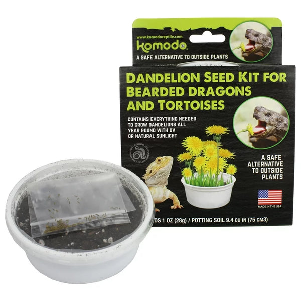 Komodo Dandelion Seed Kit