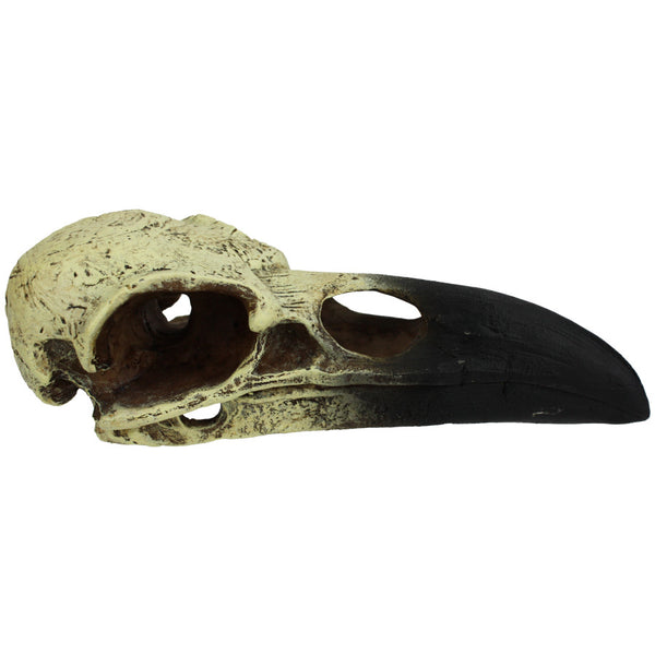 Komodo Raven Skull Hideout LG 8 in