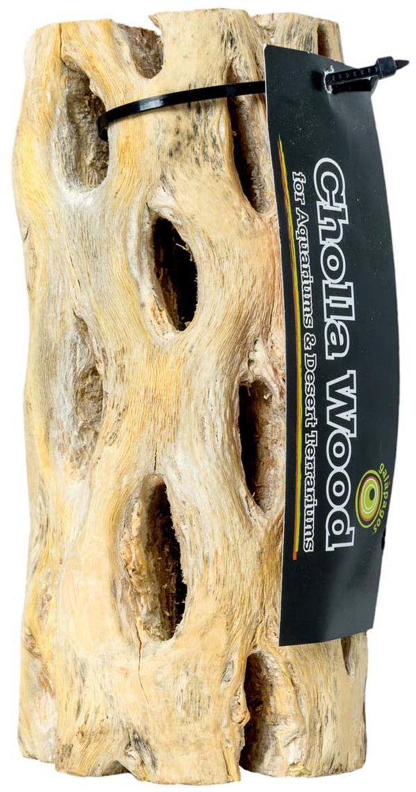 Galapagos Cactus Skeleton Cholla Wood 36 in