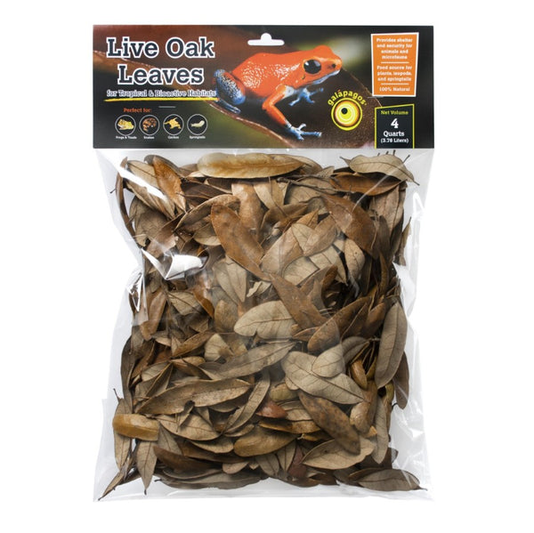 Galapagos Natural Live Oak Leaf Litter 4 qt