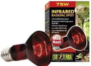 Exo Terra Infrared Basking Spot Lamp 75W