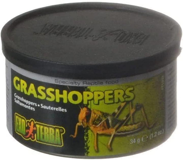 Exo Terra Grasshoppers 1.2 oz