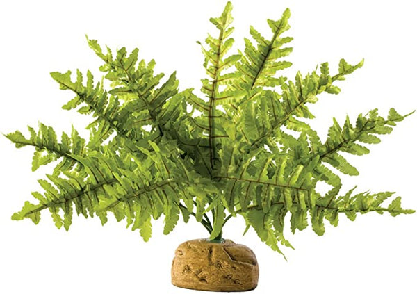 Exo Terra Rainforest Plant - Boston Fern - Small