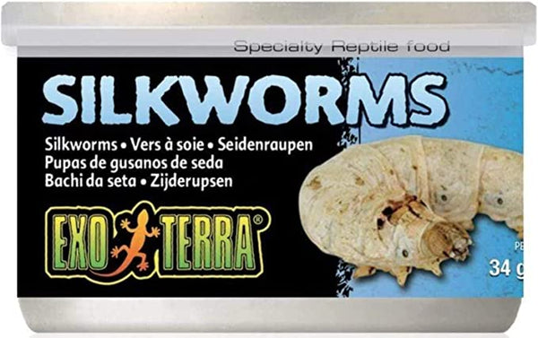 Exo Terra Silk Worms 1.2oz