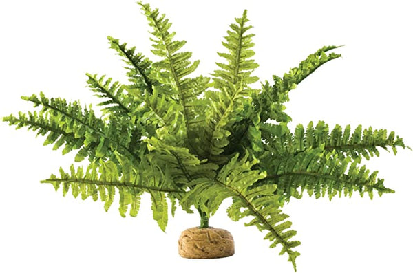 Exo Terra Rainforest Plant - Boston Fern - Medium