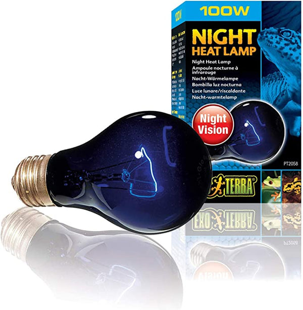 Exo Terra Night Heat Lamp 100W