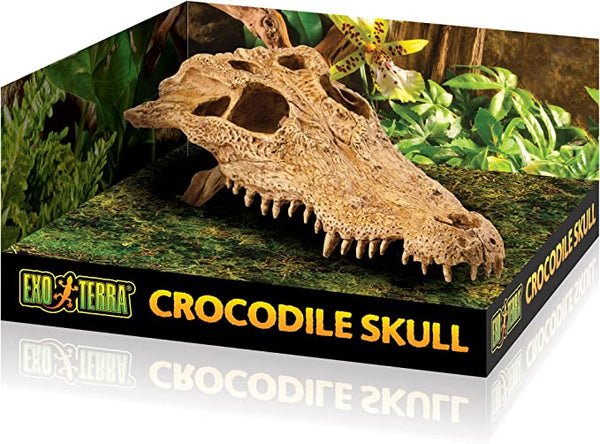 Exo Terra Crocodile Skull