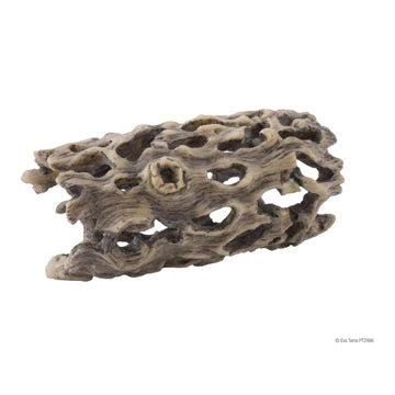 Exo Terra Cholla Cactus Skeleton - Small - 6 x 11 cm (2.4in x 4.3in)