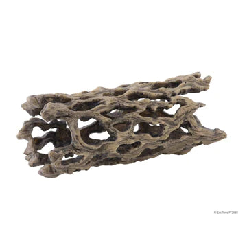 Exo Terra Cholla Cactus Skeleton - Medium - 8.5 x 19.5 cm (3.3in x 7.7in)