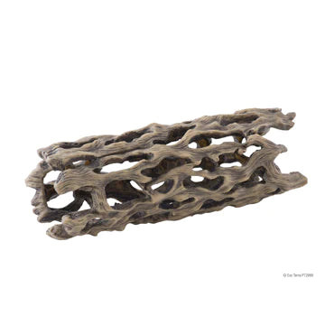 Exo Terra Cholla Cactus Skeleton - Large - (4.5in x 11in)