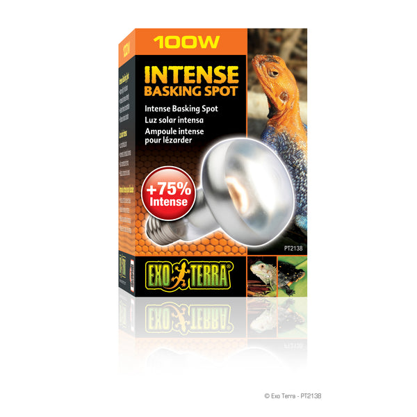 Exo Terra Intense Basking Spot Lamp 100w