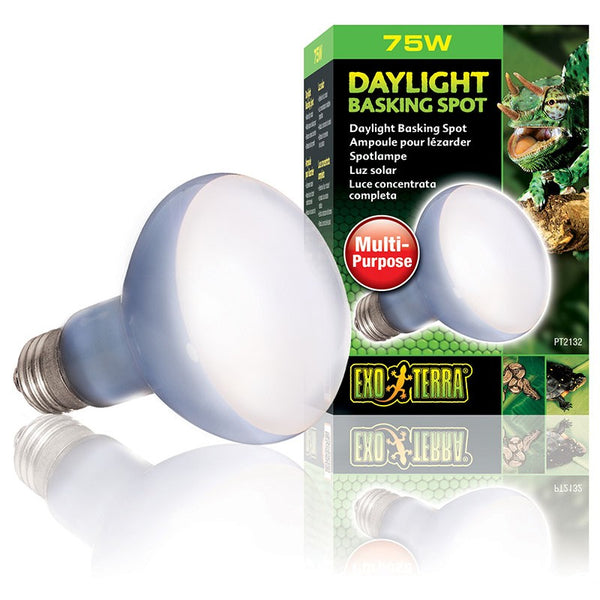 Exo Terra Daylight Basking Spot Lamp 75w