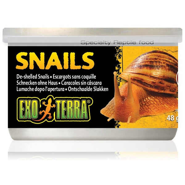 Exo Terra Snails unshelled 1.7 oz